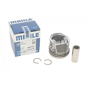 Поршень Opel Combo 1.3CDTI 00- (72.20mm/+0.60)