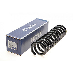 Пружина (задня) MB E-class (W124)