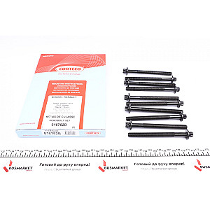 Болти головки (к-кт 10шт.) Renault Kangoo 1.5dCi