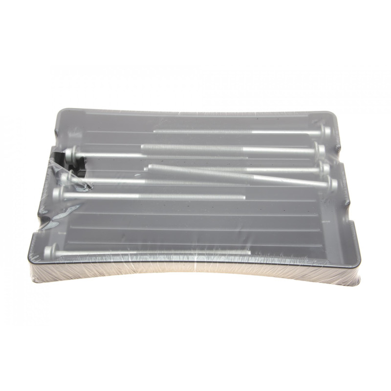 Болти головки (к-кт 8шт.) Skoda Fabia 01-14