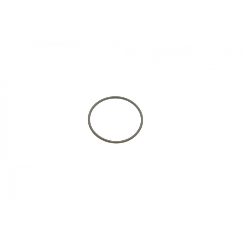 Кільце ущільнююче магніта розподільного валу MB (W204/S204/C207/S212) 07- (42x46)