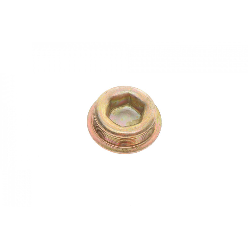 Заглушка блоку циліндрів MB Sprinter