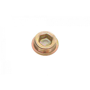 Заглушка блоку циліндрів MB Sprinter