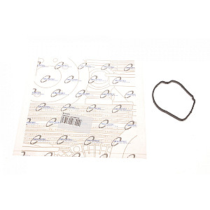 Прокладка термостата MB Sprinter/Vito CDI 00-