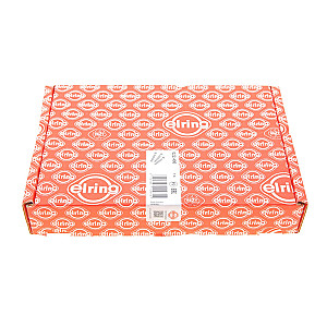 Болти головки (к-кт 10шт.) Honda Accord/Civic 2.0 96-02