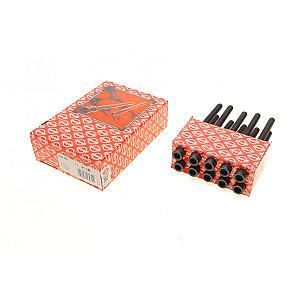 Болти головки (к-кт 10шт.) Toyota Rav4 2.0/2.4 00-13