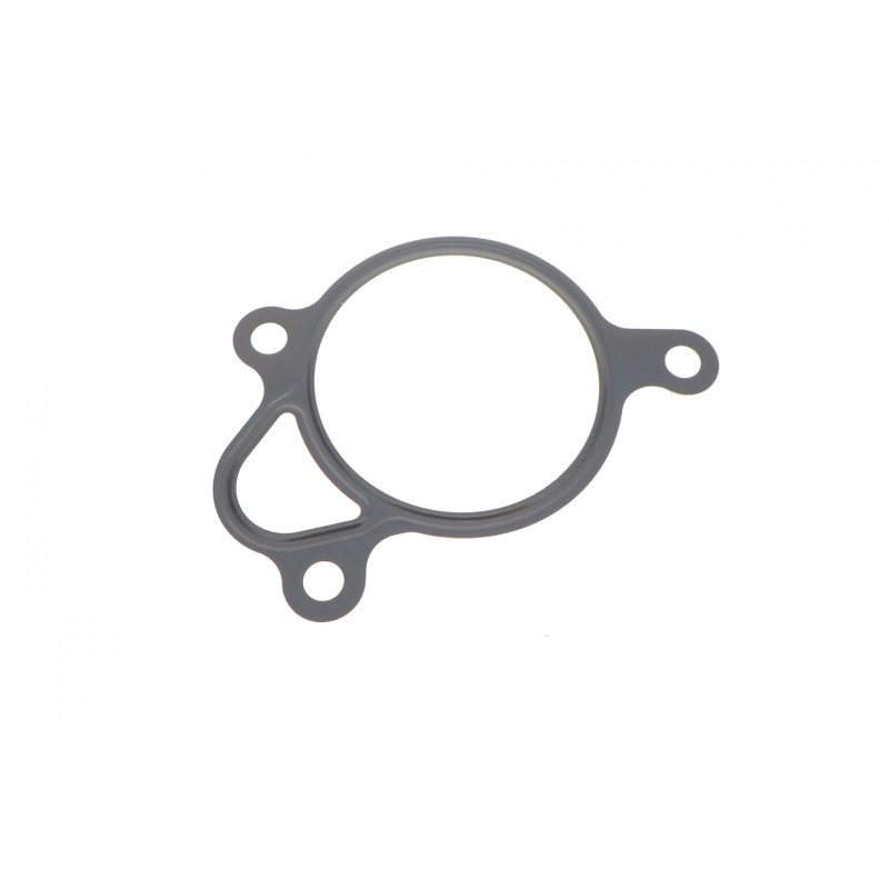 Прокладка двигуна металева