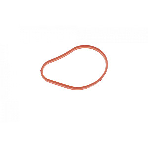 Прокладка колектора впускного Peugeot 306/406 1.8 16V 95-01