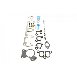 Прокладка колектора впускного/випускного VW T5 2.5TDI 03- (к-кт) AXD/AXE/BAC/BLJ/BLK