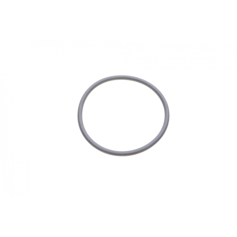 Прокладка термостата AUDI/BMW/FORD/SKODA/VOLVO/VW